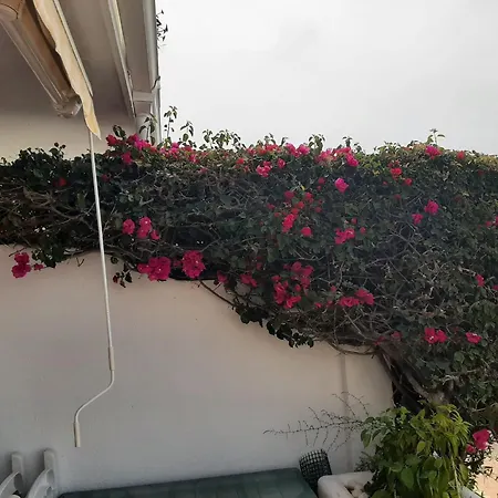 Casa Del Sol 아파트 *